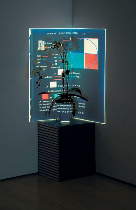Projection screen and immersive environment inspiration