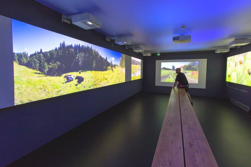 Projection screen and immersive environment inspiration